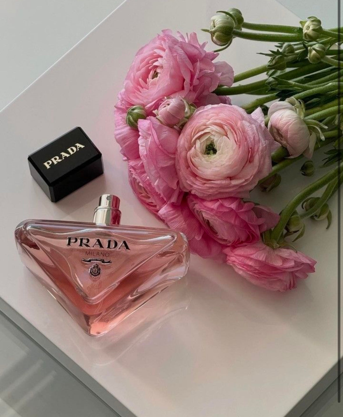 Mini Prada Paradoxe 🎀